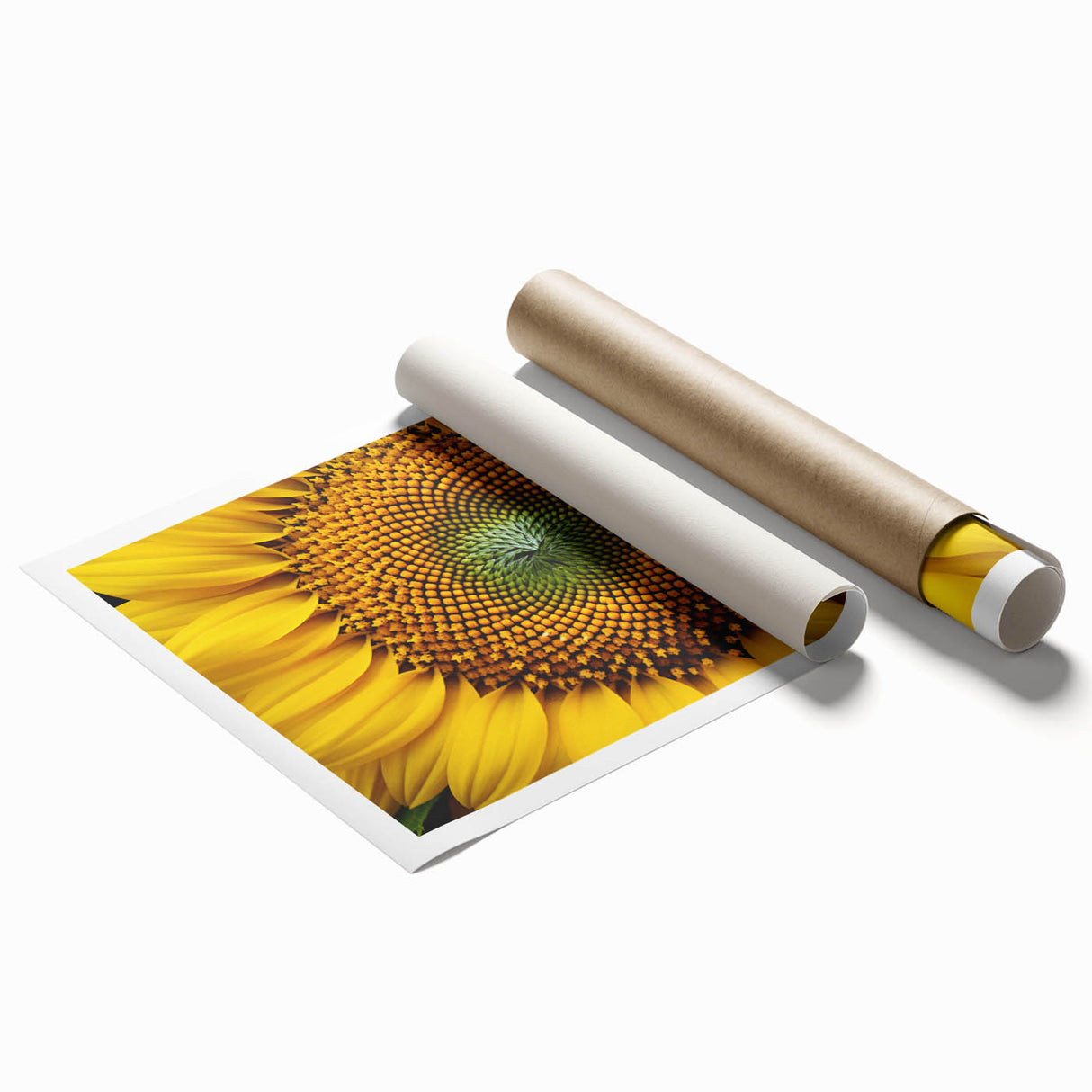 Extra large rolled print of vibrant floral art in vivid colors, ideal for classy bathroom wall art.
