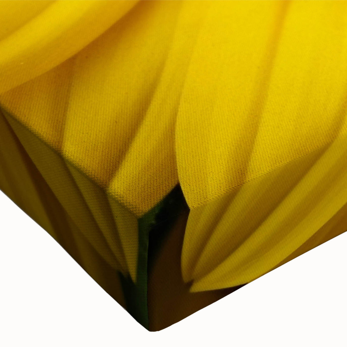 Black and white close-up floral photo on stretched canvas, ideal for bedroom wall art featuring a monochrome landscape theme.