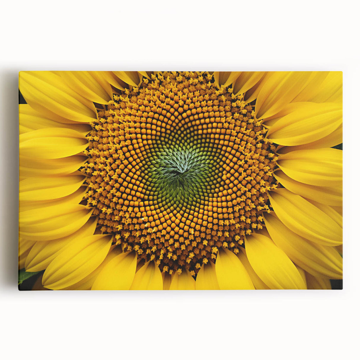 Black and white close-up of a floral design on stretched canvas, suitable as large kitchen wall art.