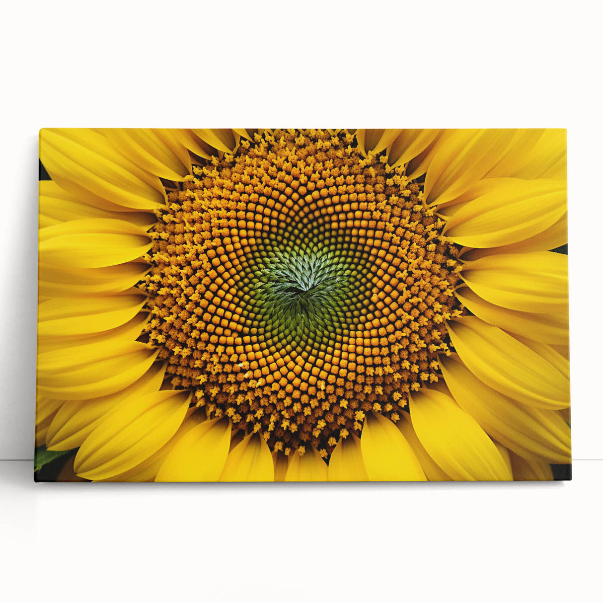 Black and white close-up floral image on stretched canvas, ideal for kitchen wall art or bedroom ambiance.