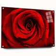 Acrylic glass print of large abstract floral design in vibrant colors, suitable for bedroom or dining room decor.