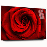 Large abstract floral design in vibrant colors on acrylic glass, ideal for bedroom or dining room art.