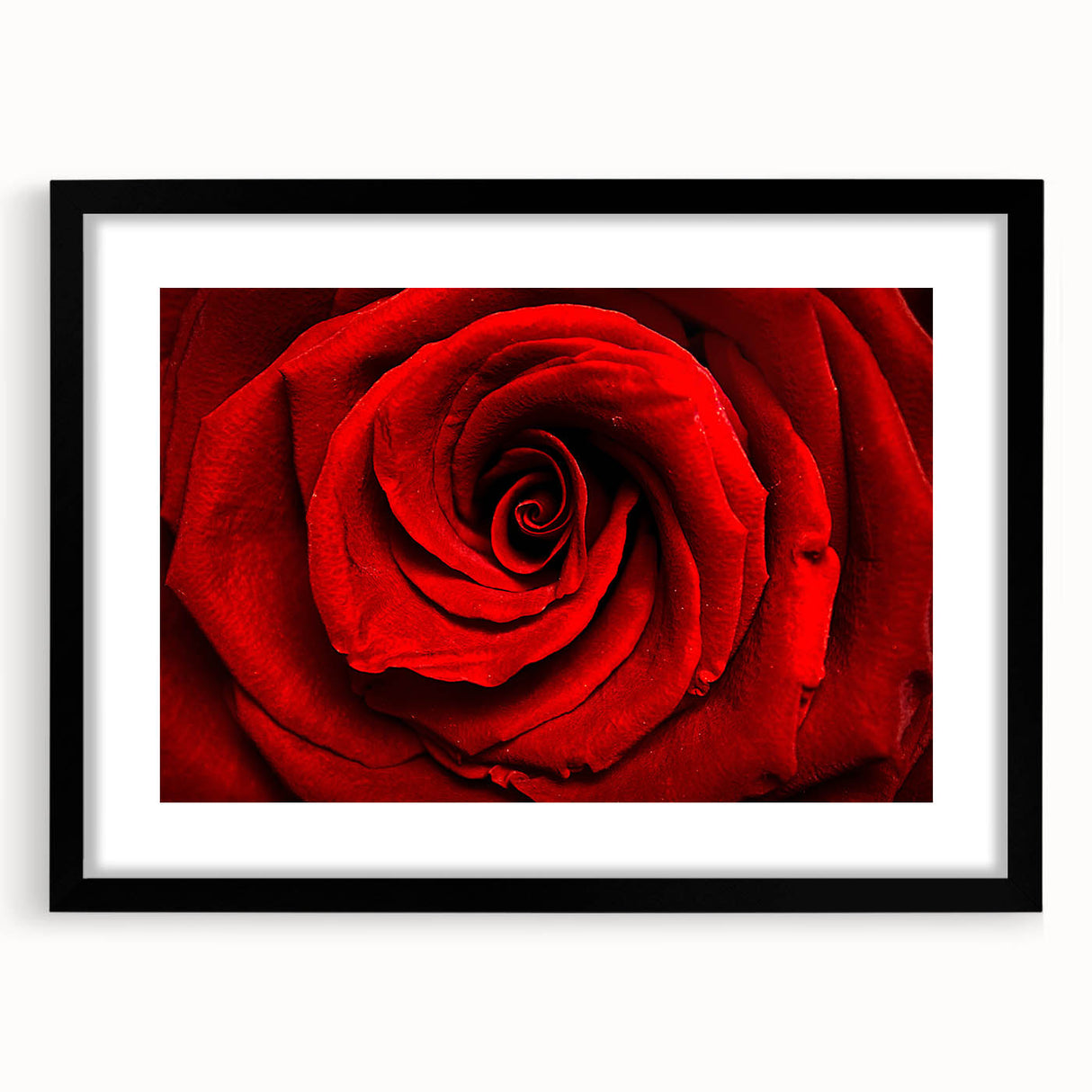 Extra large abstract art print featuring vibrant, colorful floral designs on a textured canvas, framed in black.