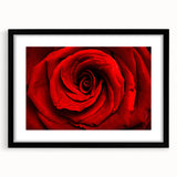Extra large abstract art print featuring vibrant, colorful floral designs on a textured canvas, framed in black.