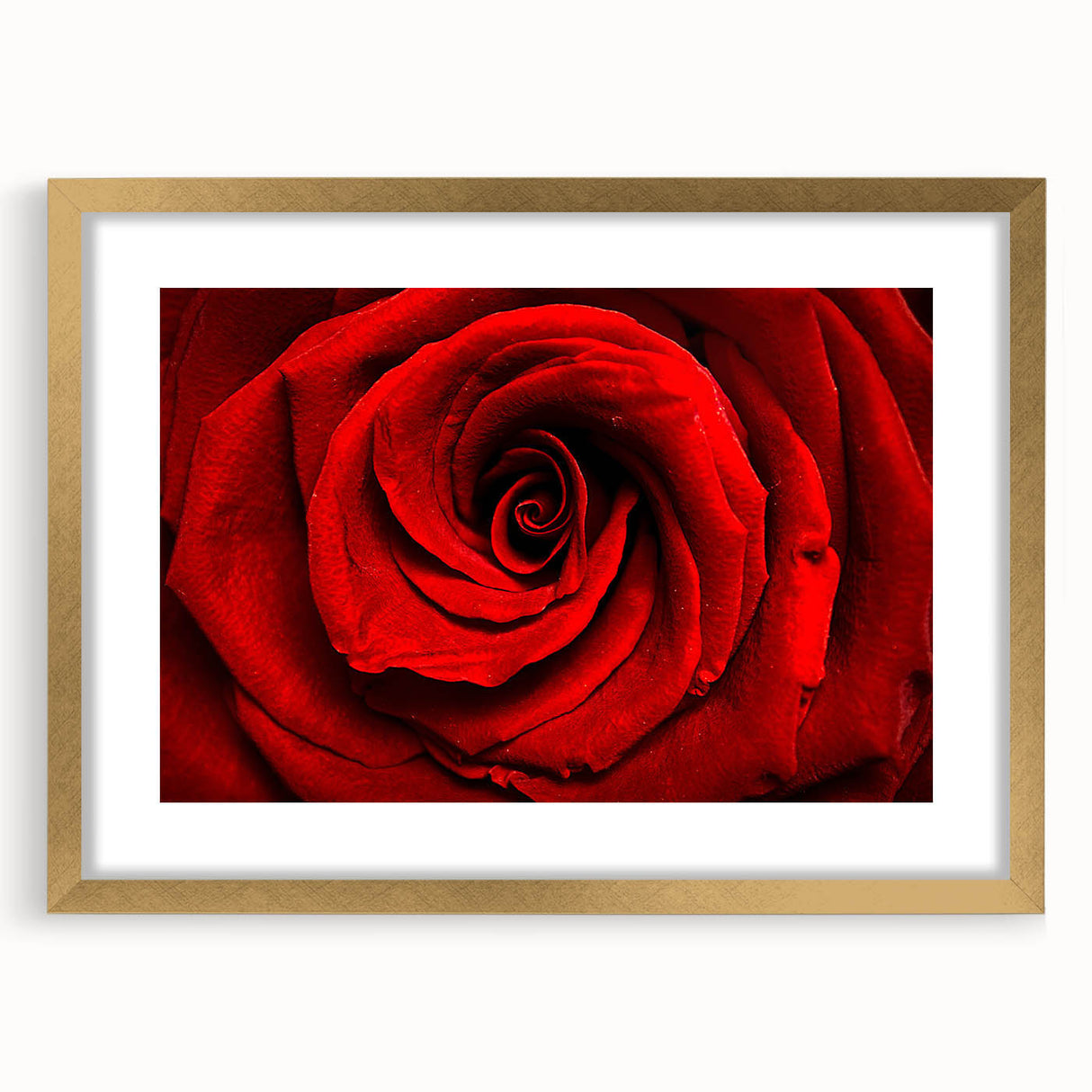 Extra large abstract art print featuring textured floral design in gold frame, ideal for living room decor.