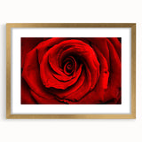 Extra large abstract art print featuring textured floral design in gold frame, ideal for living room decor.