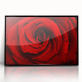 Large abstract wall art featuring a floral design in vibrant colors on a black acrylic frame.