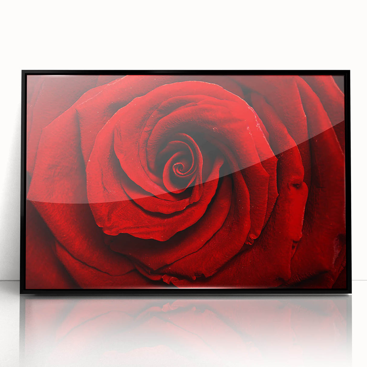 Large abstract wall art featuring a floral design in vibrant colors on a black acrylic frame.
