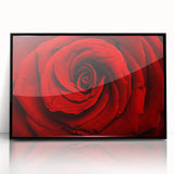 Large abstract wall art featuring a floral design in vibrant colors on a black acrylic frame.