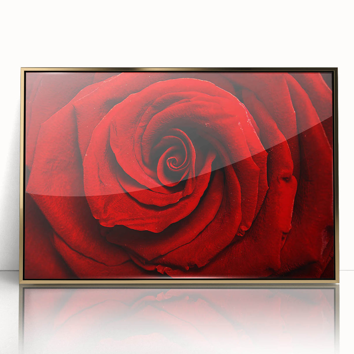 Large art print of a floral close-up in vibrant colors on a gold-framed acrylic, ideal for modern nursery decor.