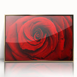 Large art print of a floral close-up in vibrant colors on a gold-framed acrylic, ideal for modern nursery decor.