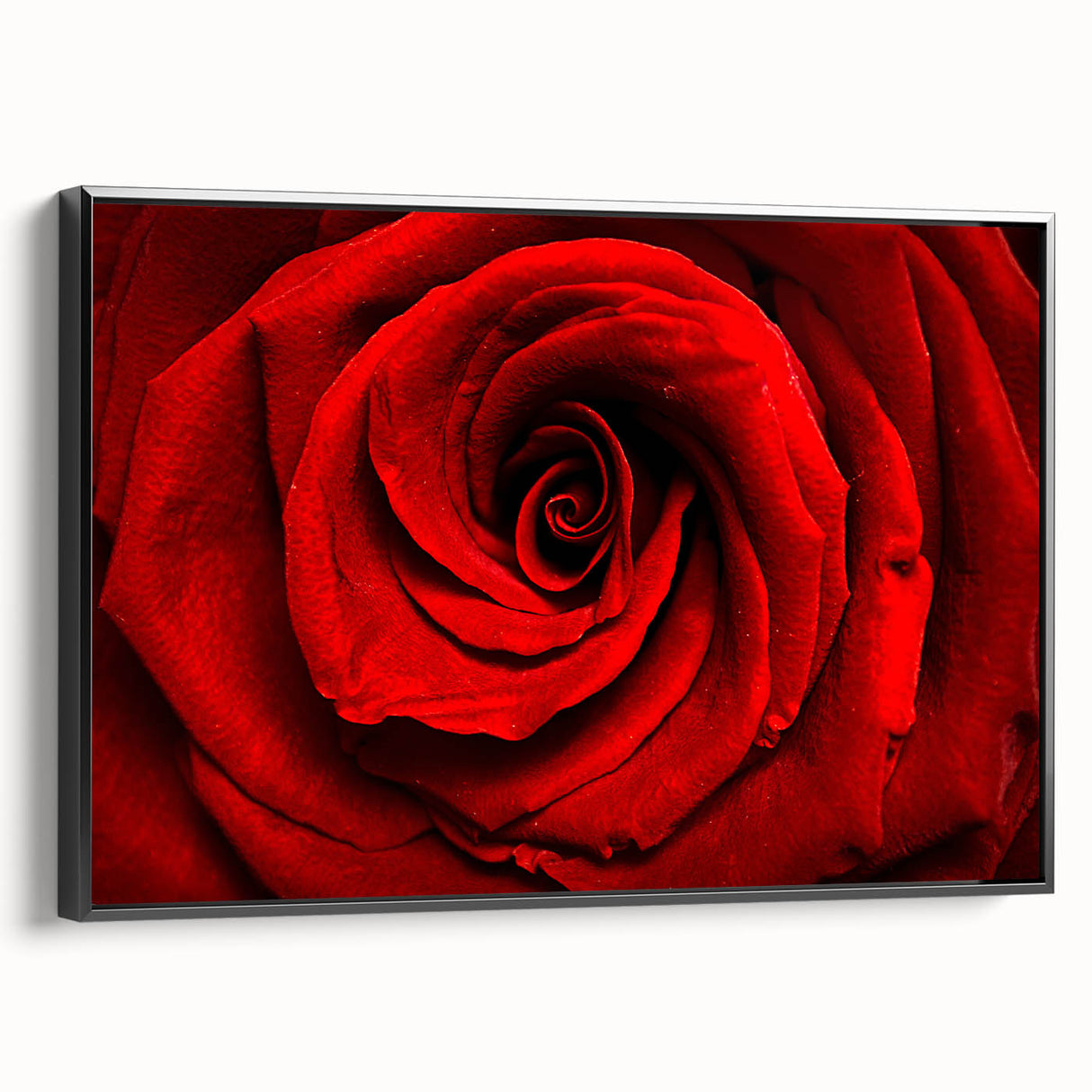 Black and white framed canvas featuring a close-up floral design, ideal for bedroom wall decor.