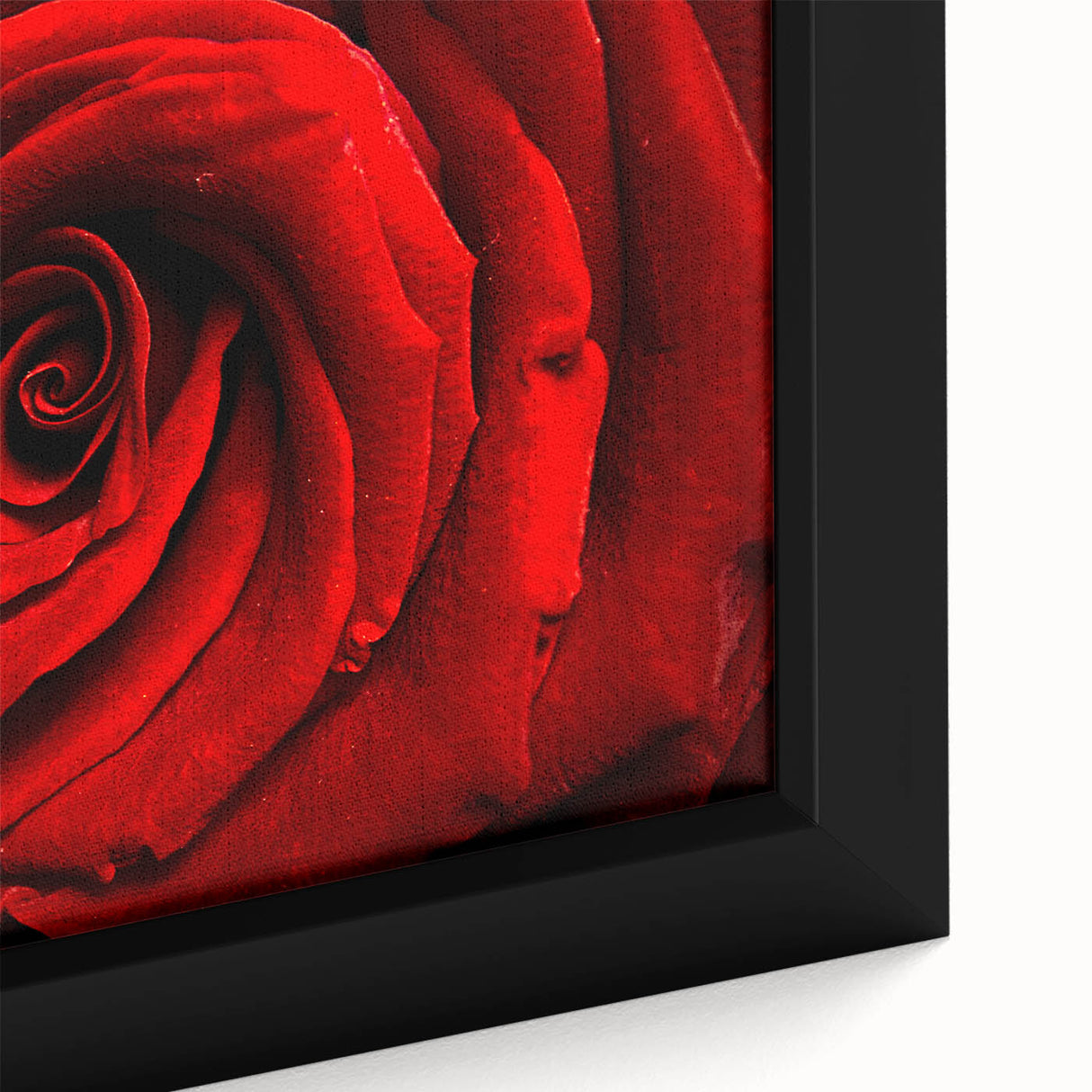 Close-up of a black framed canvas featuring a textured floral design in vibrant colors, ideal for living room decor.