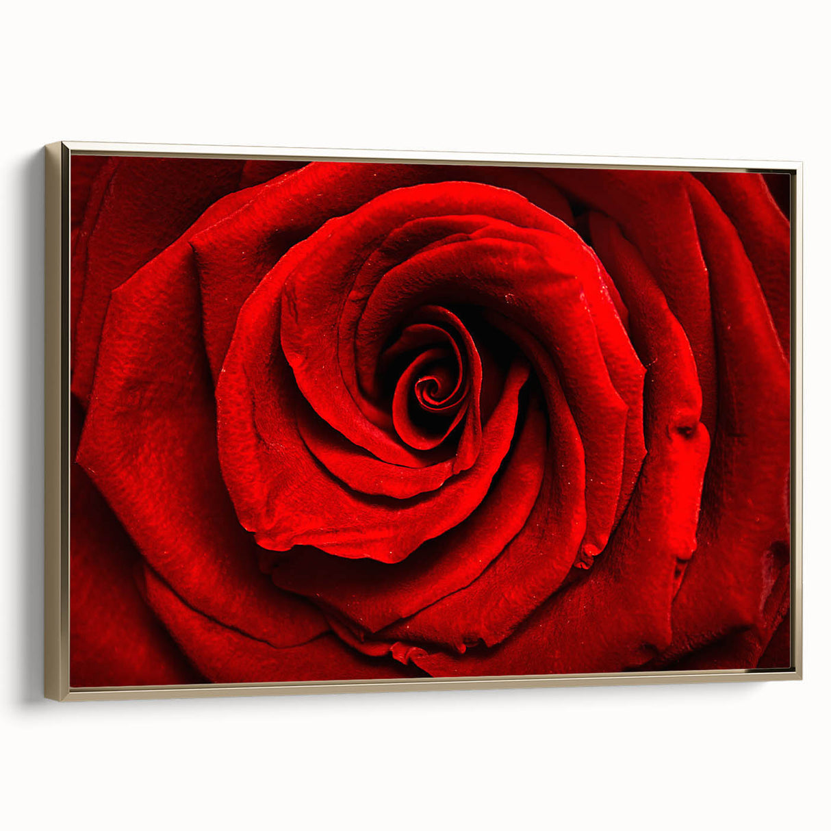 Framed canvas featuring a close-up floral design in muted gold tones, ideal for bedroom wall art.