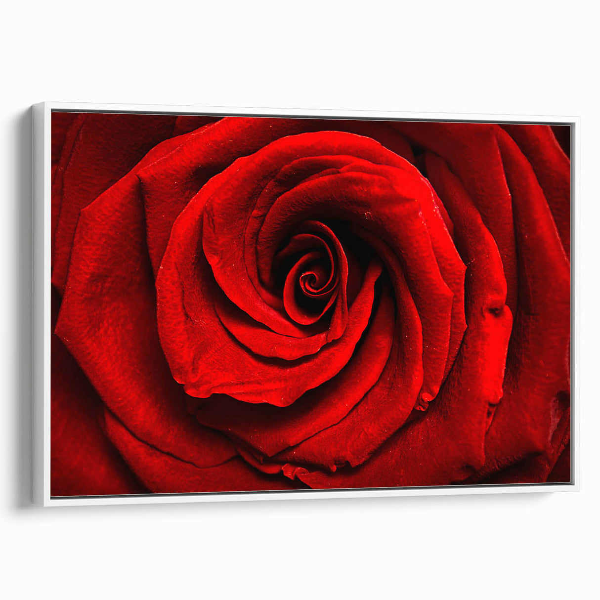 Vintage poster art of colorful florals on a black background, framed canvas, ideal for living room decor.