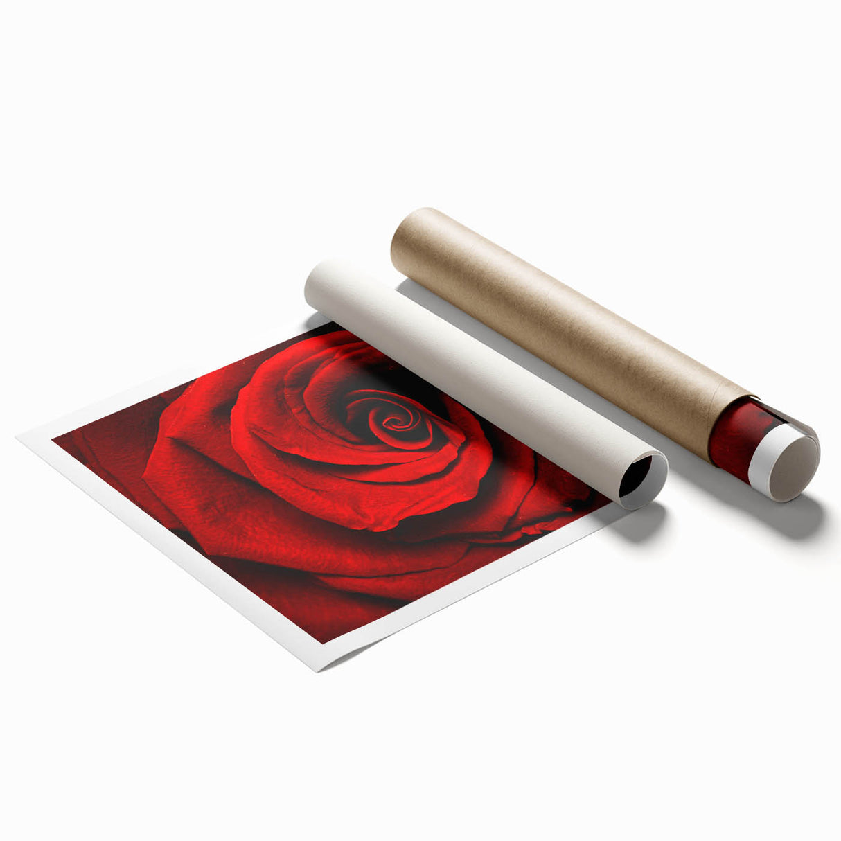 Extra large rolled print of floral art featuring soft pink blossoms on a muted background.
