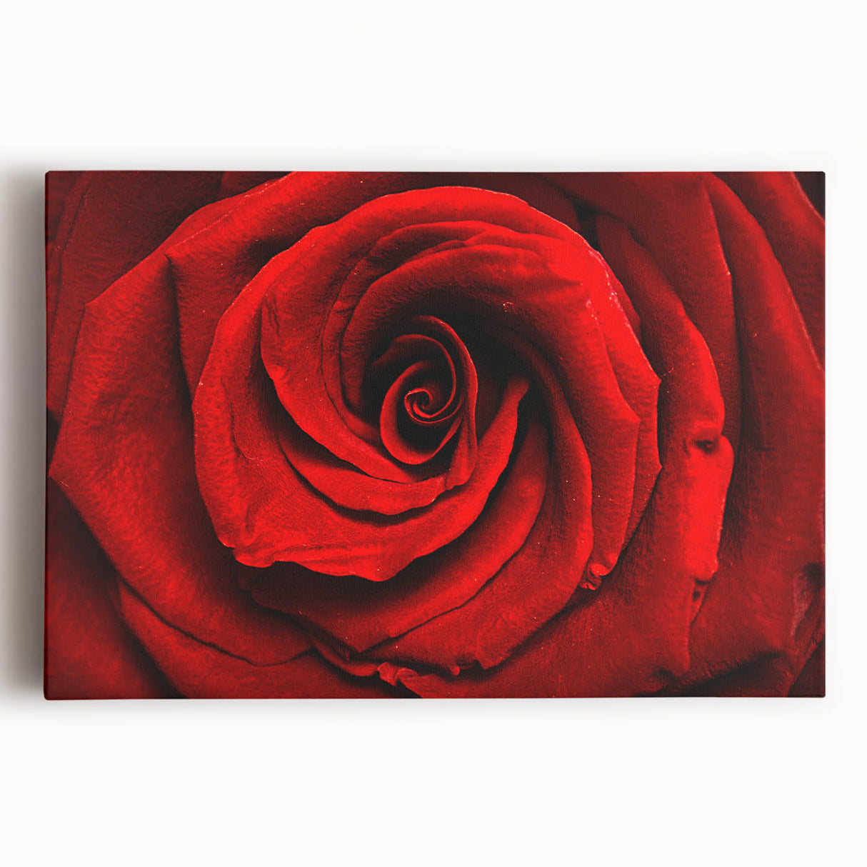 Black and white floral close-up on stretched canvas, ideal for kitchen wall art or bedroom ambiance.
