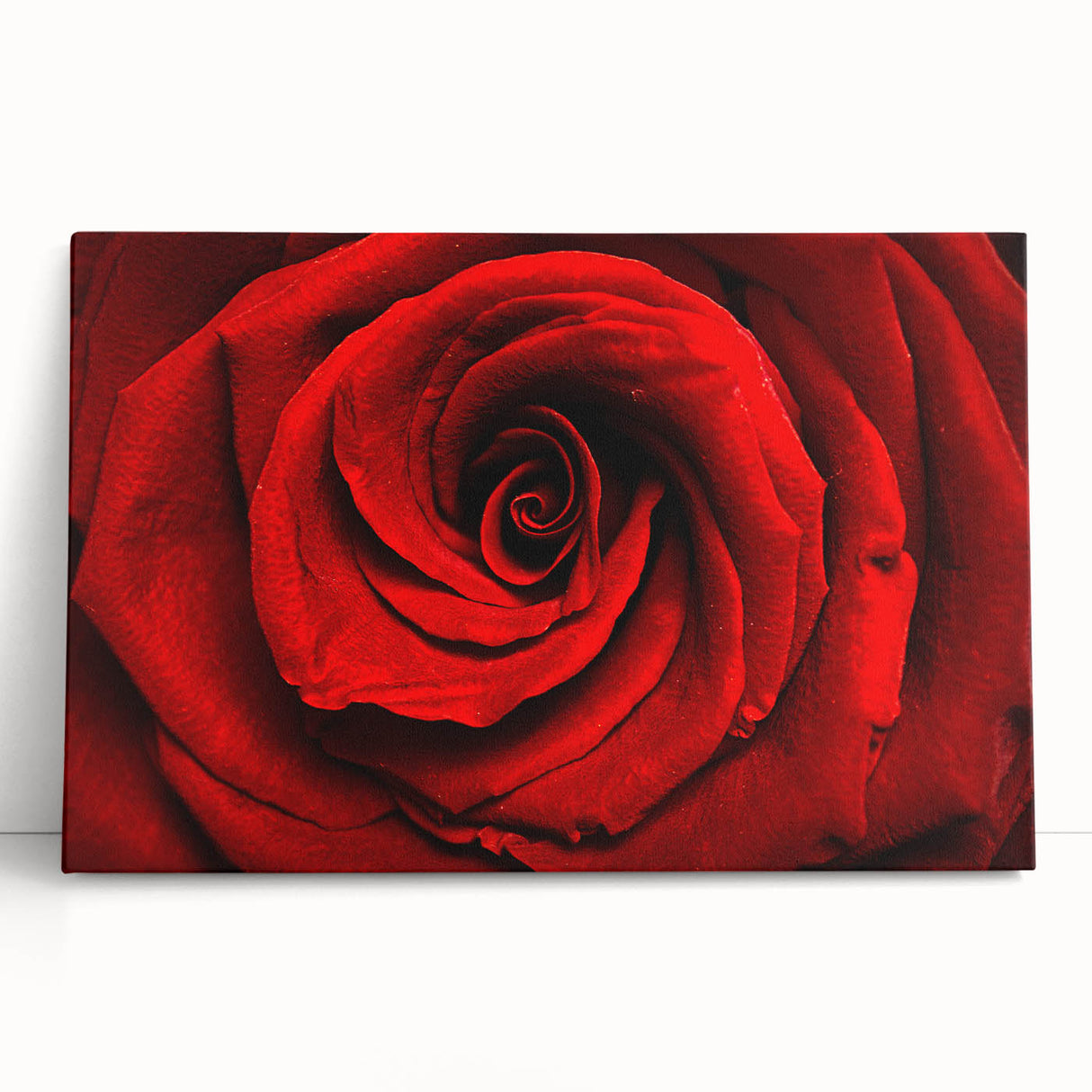 Black and white close-up floral image on a large stretched canvas, ideal for kitchen wall art.