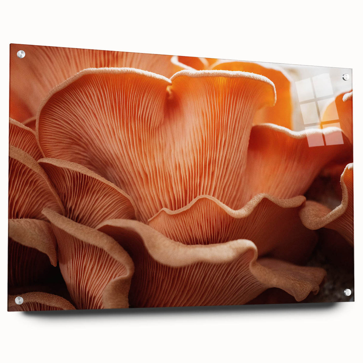 Close-up floral design in vibrant colors on acrylic glass, ideal for dining room or bedroom decor.
