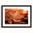 Extra large abstract art print featuring a colorful, textured floral design on a black framed canvas.