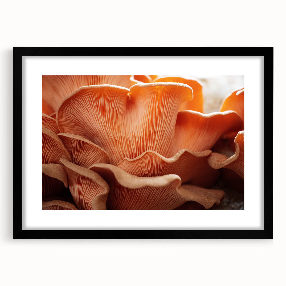 Extra large abstract art print featuring a colorful, textured floral design on a black framed canvas.