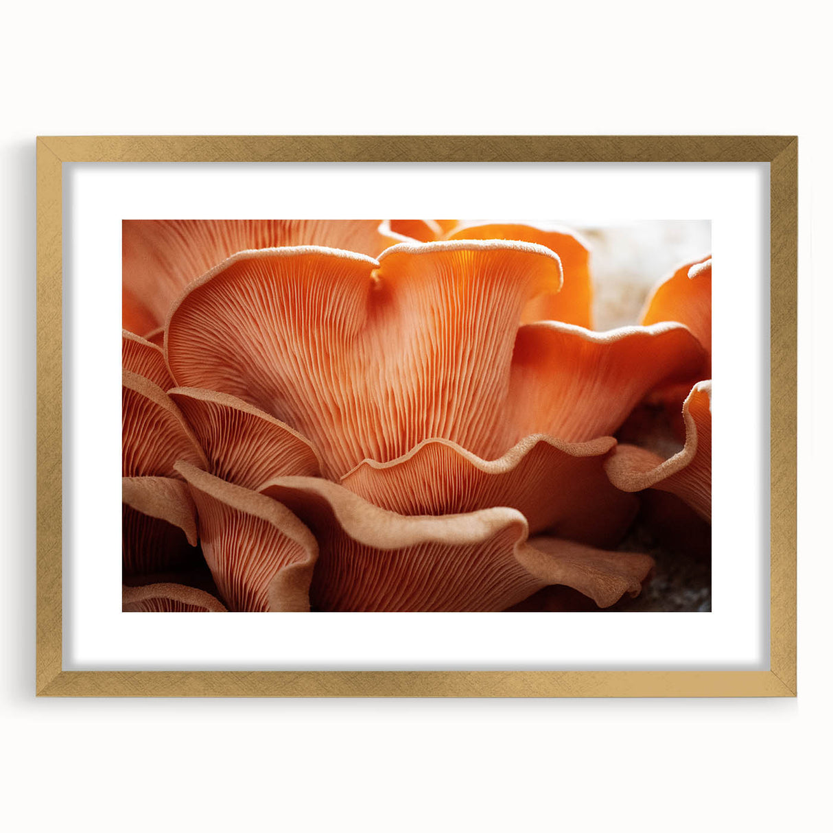 Extra large abstract art print featuring textured floral designs in vibrant colors, framed in gold.
