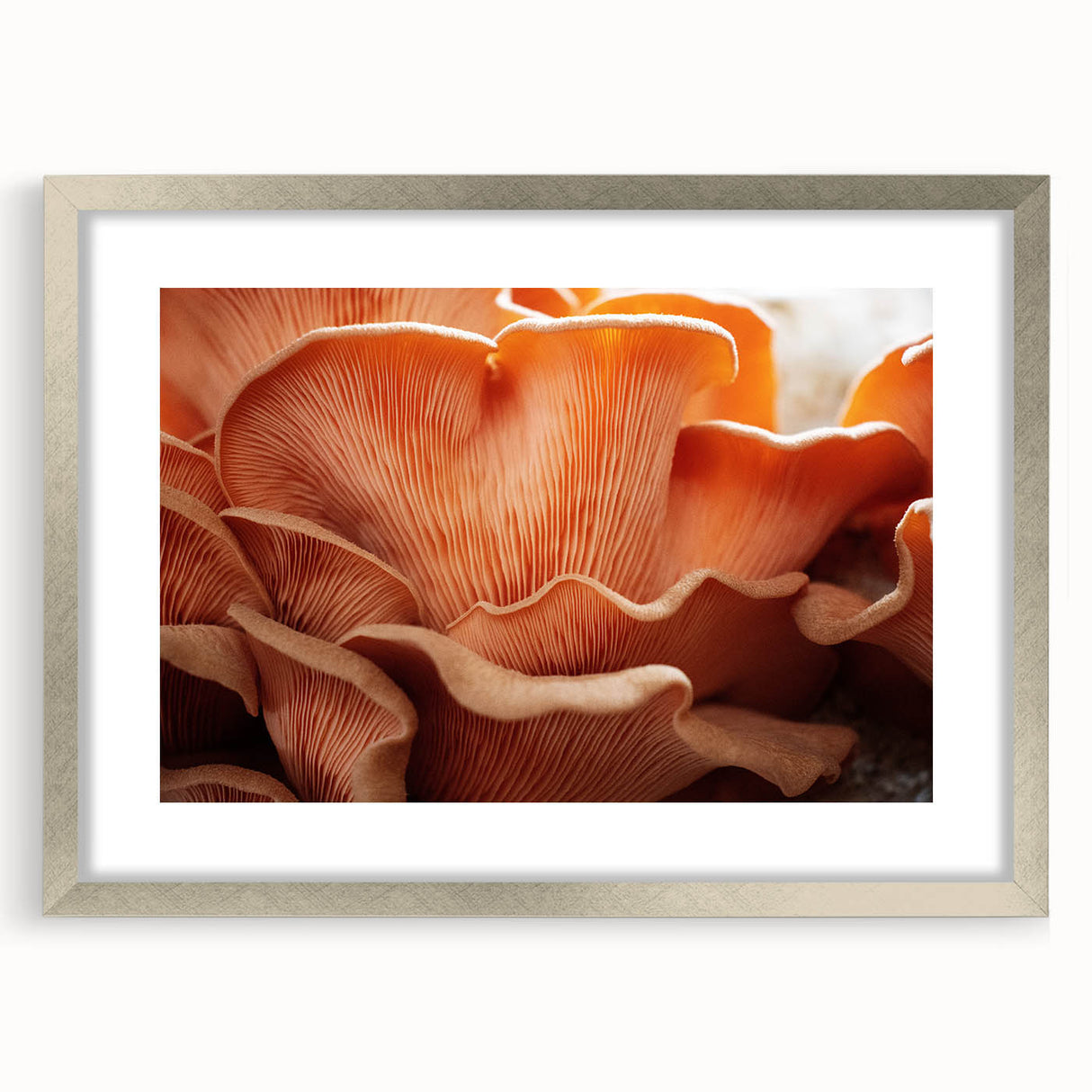 Textured art depicting abstract florals in muted earth tones, framed in silver, ideal for bedroom art.