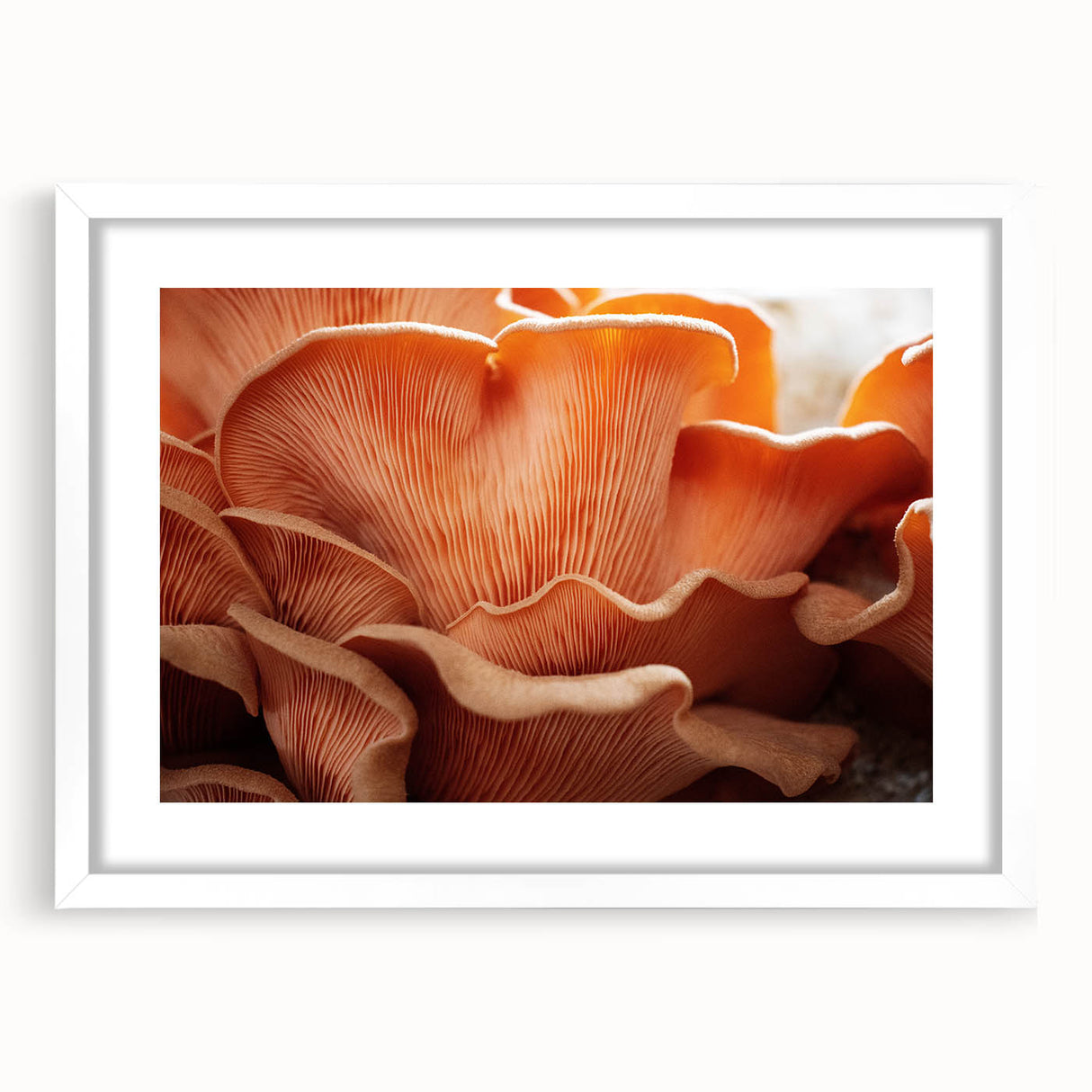 Abstract art print featuring a close-up floral design in soft pastel shades, framed in white.