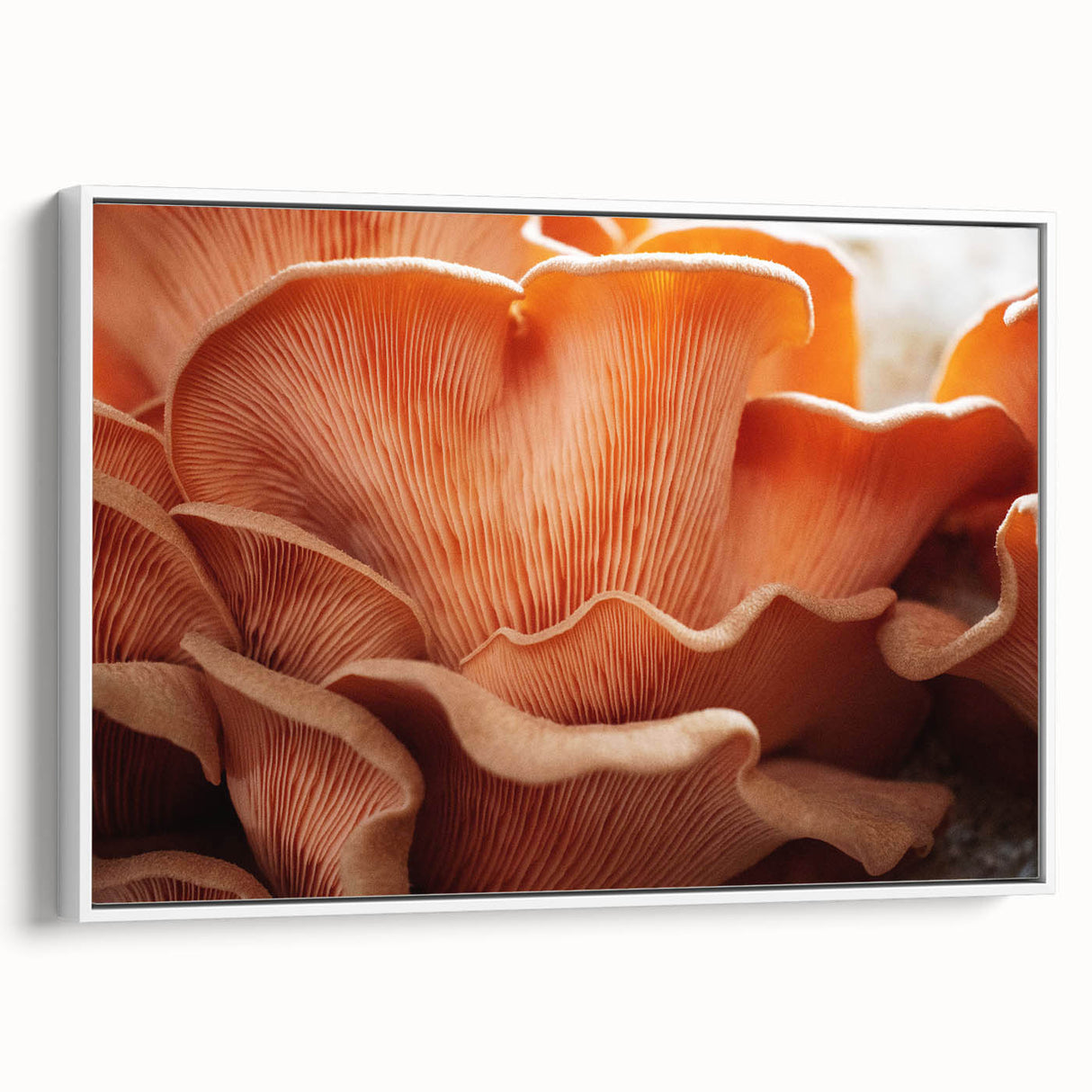 Vintage poster art of colorful florals on a black background, framed canvas, ideal for living room decor.