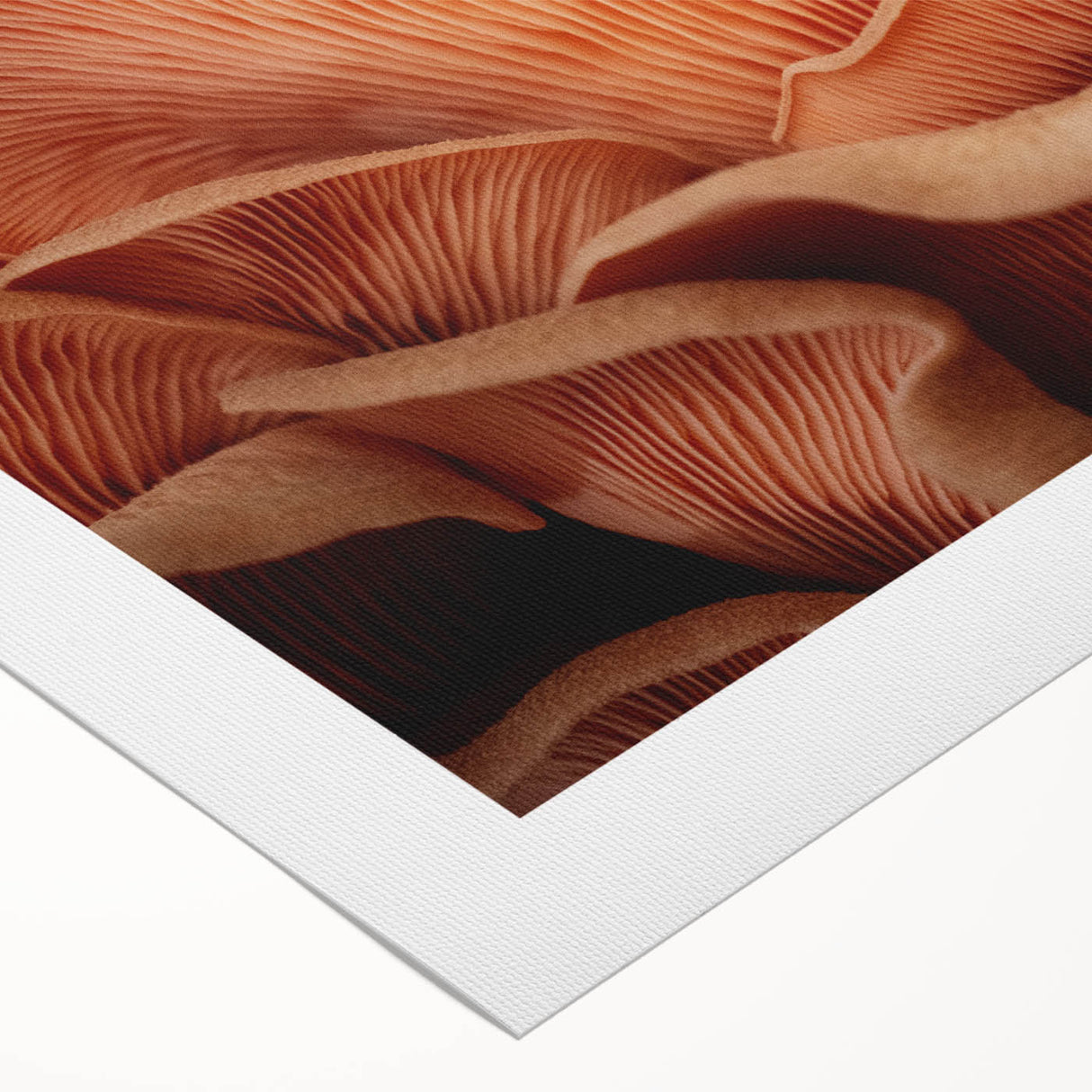 Art deco poster featuring close-up floral designs in muted pastel shades on rolled canvas.