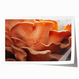Close-up floral art in soft pastel shades on rolled canvas, ideal for dining room or bathroom wall decor.