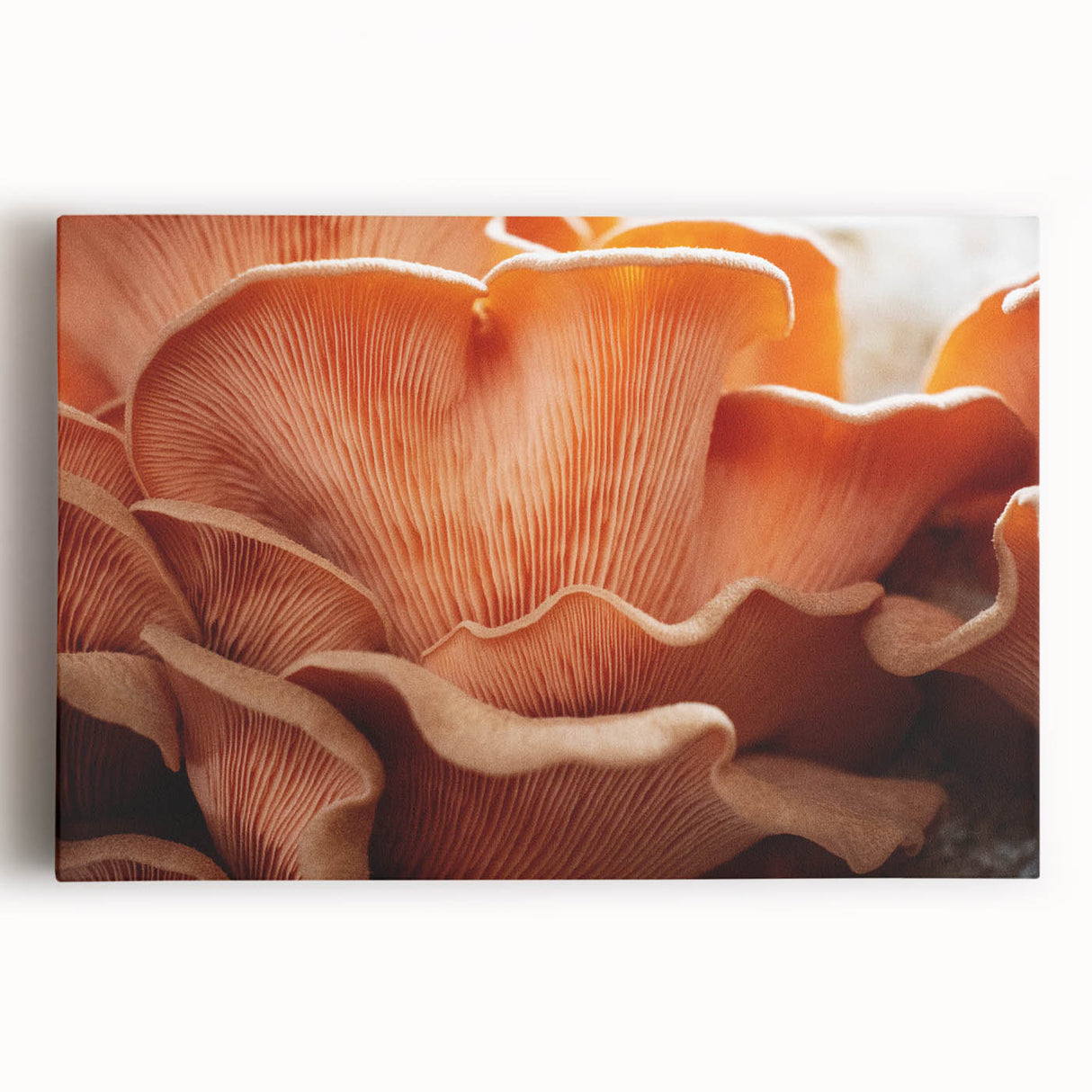 Black and white close-up floral image on stretched canvas, suited as large kitchen wall art.