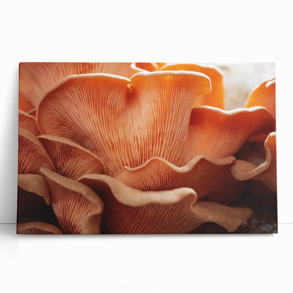Large black and white floral design on stretched canvas, ideal for kitchen wall art or bedroom ambiance.
