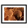 Extra large abstract art print featuring textured, colorful florals in a black frame, ideal for living room decor.