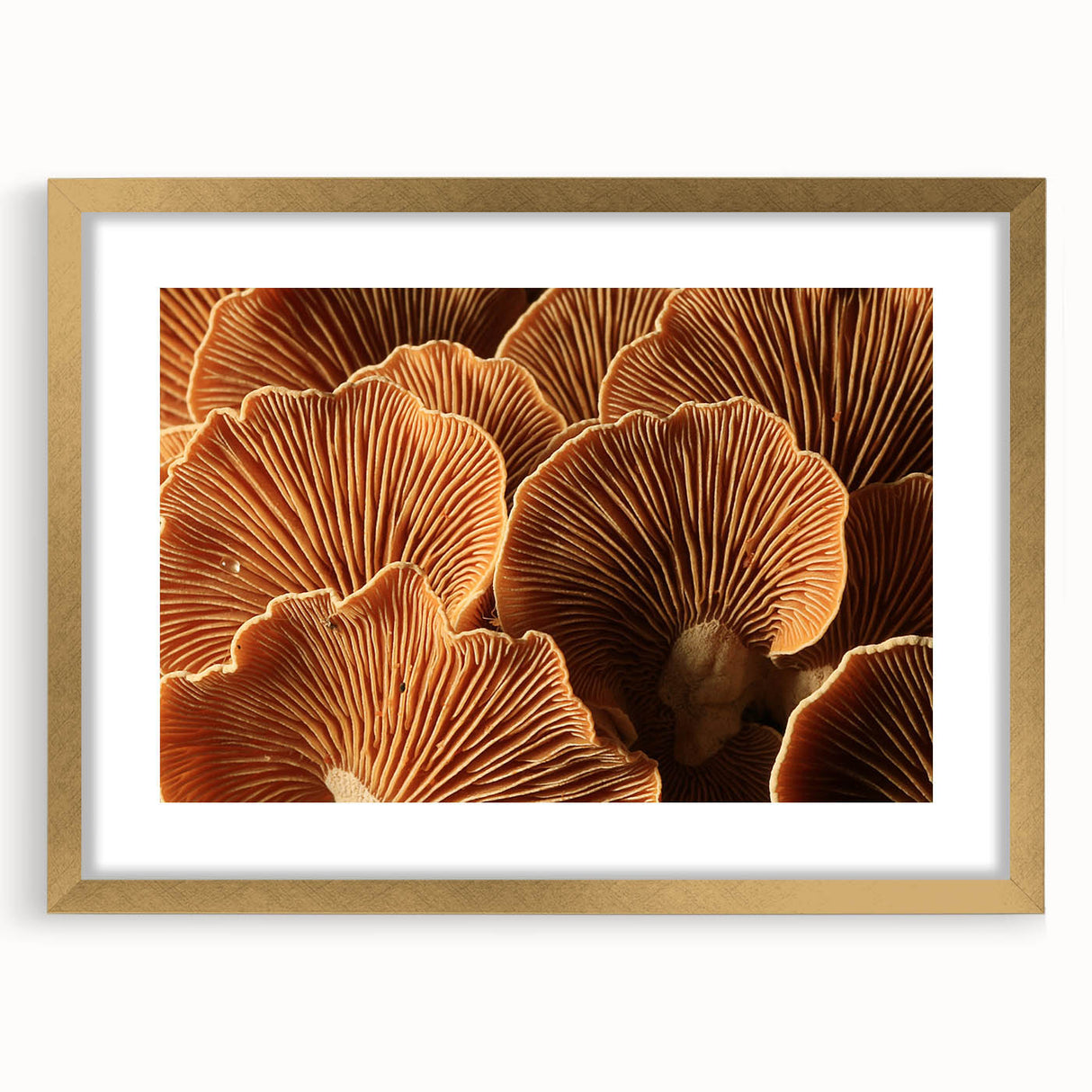 Extra large abstract art print with textured floral design in gold frame, ideal for living room decor.