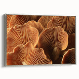 Framed canvas featuring a vintage landscape art painting of colorful florals against a black background.