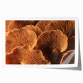Close-up floral art on rolled print featuring soft pink and white blossoms, ideal for dining room or bathroom wall decor.
