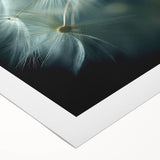 Art deco poster featuring close-up floral designs in vibrant colors on rolled canvas.