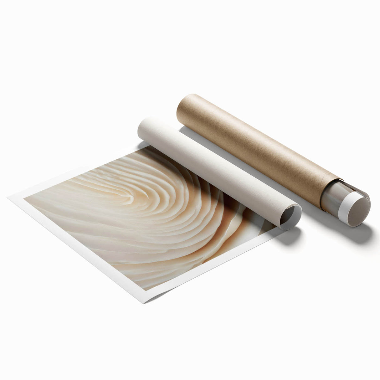 Extra large rolled print of a detailed floral art in soft pastel shades.