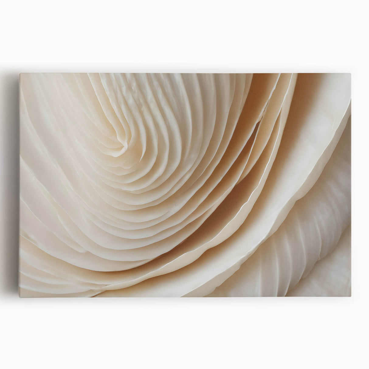 Large black and white floral photo on stretched canvas, ideal for kitchen wall art.