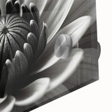 Close-up floral acrylic print in rich, deep hues, ideal for dining room art, reflecting mid-century modernist style.