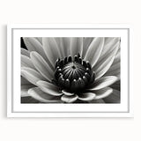 Abstract art print of florals in vibrant hues on a white framed canvas, suitable for dining room or bedroom.