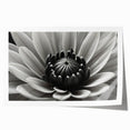 Extra large rolled print of close-up floral designs in vibrant hues, ideal for art wall dining room.