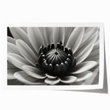 Extra large rolled print of close-up floral designs in vibrant hues, ideal for art wall dining room.