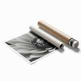 Extra large rolled print featuring close-up of pale pink florals on a muted background.
