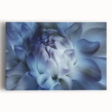 Black and white close-up floral photograph on stretched canvas, ideal for kitchen wall art.