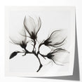Extra large rolled print featuring close-up floral design in vibrant colors, ideal for dining room wall art.