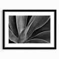 Extra large abstract art print featuring vibrant, textured florals on a black framed canvas, ideal for living room decor.