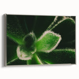 Silver-framed canvas depicting a colorful landscape art painting of florals, ideal for enhancing a living room or hallway.