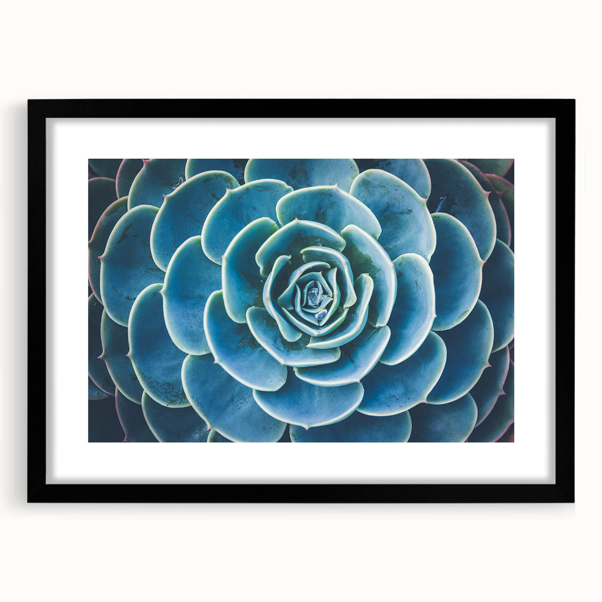 Extra large abstract art print featuring colorful, textured florals on a black framed canvas, ideal for living room decor.